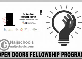 Open Doors Fellowship Program 2024