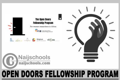 Open Doors Fellowship Program 2024
