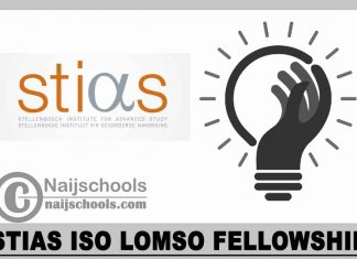 STIAS Iso Lomso Fellowship 2024