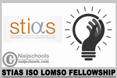  STIAS Iso Lomso Fellowship 2024
