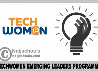 TechWomen Emerging Leaders Programme 2024