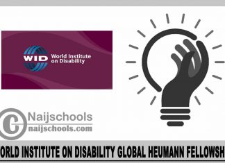 World Institute on Disability Global Heumann Fellowship 2024