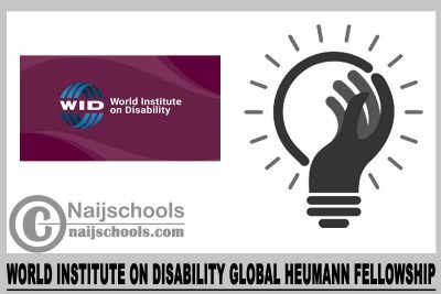 World Institute on Disability Global Heumann Fellowship 2024