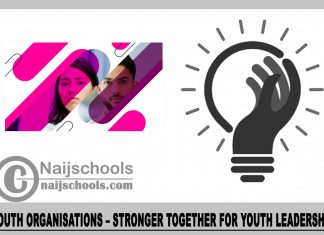 Youth organisations – Stronger Together for Youth Leadership 2024