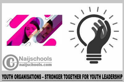 Youth organisations – Stronger Together for Youth Leadership 2024