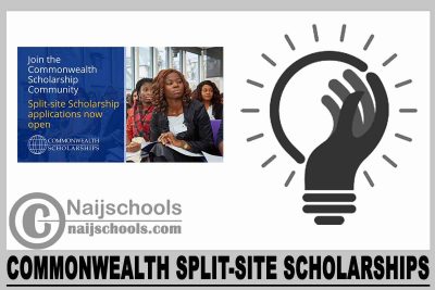 commonwealth split-site scholarships 2024