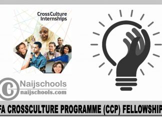 ifa CrossCulture Programme (CCP) Fellowships 2024