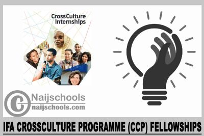ifa CrossCulture Programme (CCP) Fellowships 2024