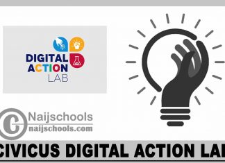 CIVICUS Digital Action Lab 2024