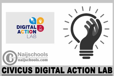 CIVICUS Digital Action Lab 2024