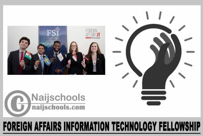 Foreign Affairs Information Technology Fellowship 2024