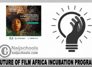 Future of Film Africa Incubation Program