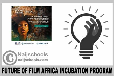 Future of Film Africa Incubation Program