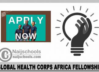 Global Health Corps Africa Fellowship