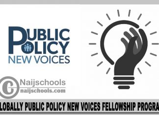 Globally Public Policy New Voices Fellowship Program 2024