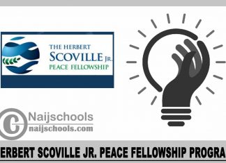 Herbert Scoville Jr. Peace Fellowship Program 2024