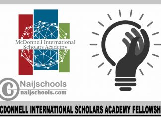McDonnell International Scholars Academy Fellowship 2024