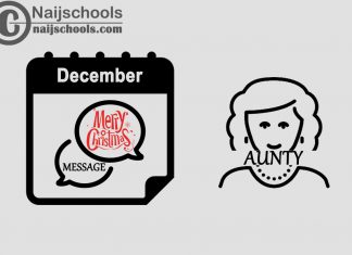 15 Christmas Message to Send Your Aunty in December 2023