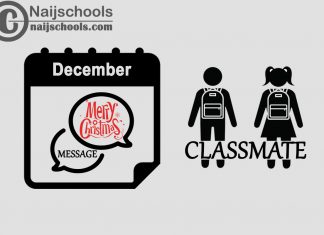 18 Christmas Message to Send Your Classmate in December 2023
