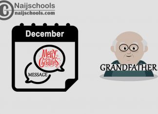 15 Christmas Message to Send Your Grandfather in December