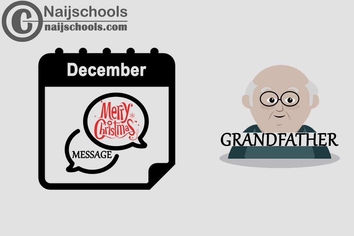 15 Christmas Message to Send Your Grandfather in December