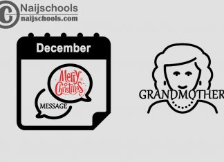 15 Christmas Message to Send Your Grandmother in December