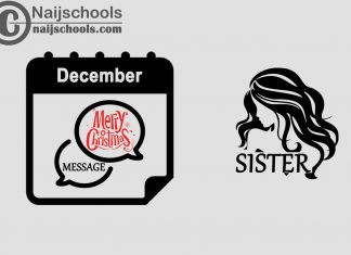 15 Christmas Message to Send Your Sister in December 2023