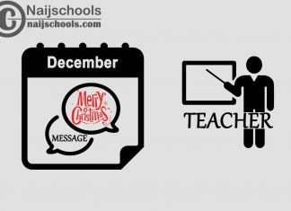 18 Christmas Message to Send Your Teacher in December 2023