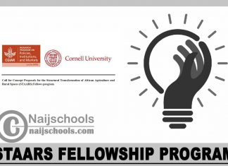 STAARS Fellowship Program 2024