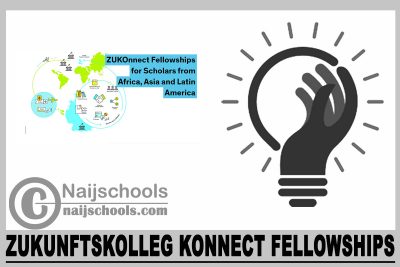 Zukunftskolleg Konnect Fellowships 2024