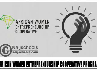 African Women Entrepreneurship Cooperative Program 2024