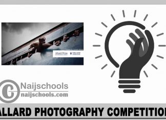 Allard Photography Competition 2024