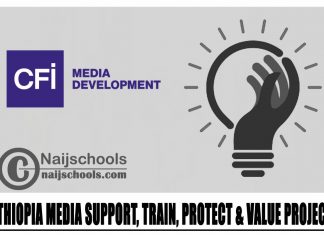 Ethiopia Media Support, Train, Protect & Value Project 2024