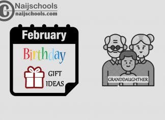15 February Birthday Gifts to Buy For Your Granddaughter 2024