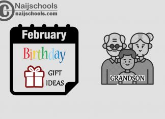 15 February Birthday Gifts to Buy For Your Grandson 2024