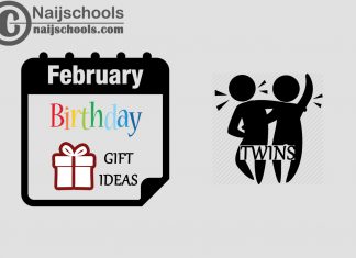 27 February Birthday Gifts to Buy For Your Twins 2024