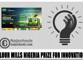 Flour Mills Nigeria Prize for Innovation