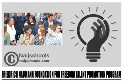 Friedrich Naumann Foundation for Freedom Talent Promotion Program 2024 