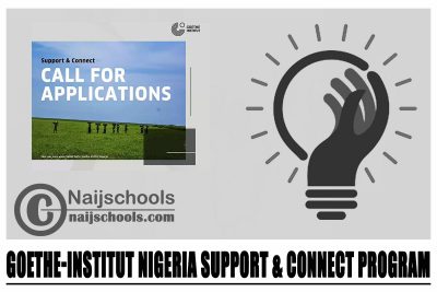 Goethe-Institut Nigeria Support & Connect Program 2024