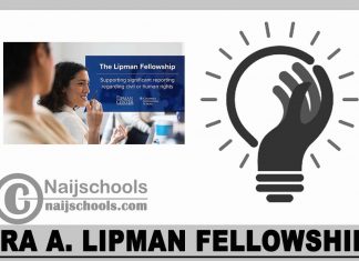 Ira A. Lipman Fellowship 2024
