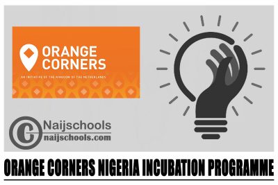 Orange Corners Nigeria Incubation Programme 2024
