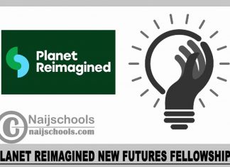 Planet Reimagined New Futures Fellowships 2024