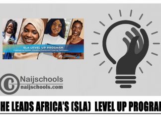 She Leads Africa’s (SLA) Level Up Program 2024