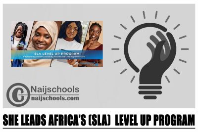 She Leads Africa’s (SLA)  Level Up Program 2024