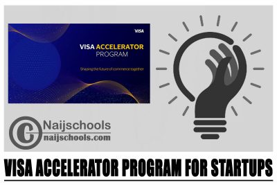 Visa Accelerator Program 2024 for Startups