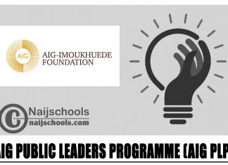 AIG Public Leaders Programme (AIG PLP) 2024