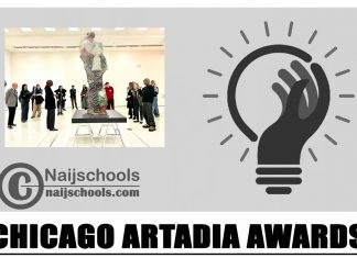 Chicago Artadia Awards 2024