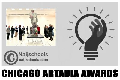 Chicago Artadia Awards 2024
