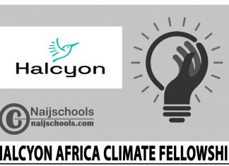 Halcyon Africa Climate Fellowship 2024