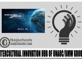 Intercultural Innovation Hub of UNAOC/BMW Group